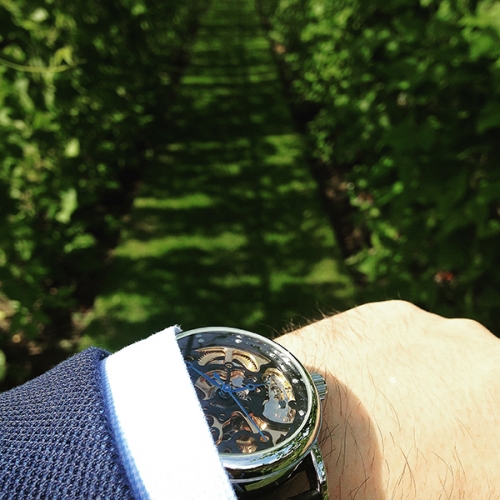 OROLOGIO MECCANICO DA UOMO DI LUSSO H027